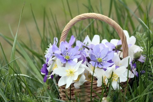 Modern online flower shopping experience