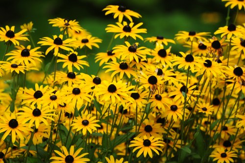 Eco-friendly packaging for flower delivery