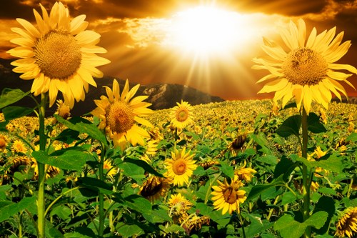 Eco-friendly packaging of About Us Flowers Online
