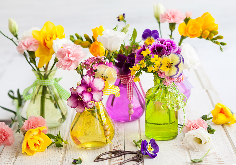 How Giving or Receiving Flowers Can Spark Happiness and Contentment