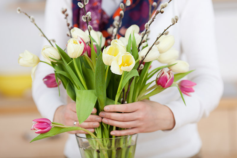 Office Greenery Made Easy 10 Plants That Don't Need Much Care